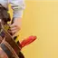 Handyman repair service in Orange, CA for home fixes and improvements