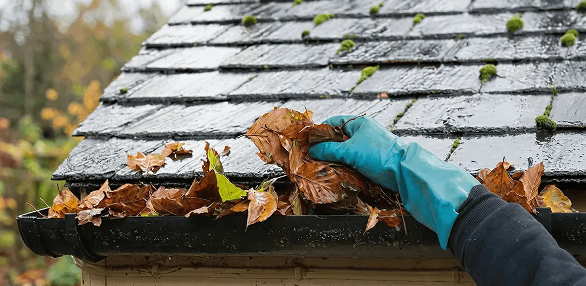 Gutter cleaning technician clearing wet leaves from roof gutters in Orange, CA